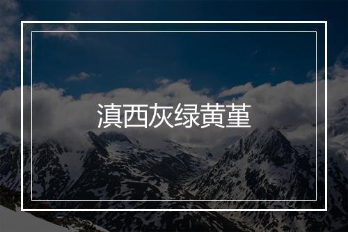 滇西灰绿黄堇