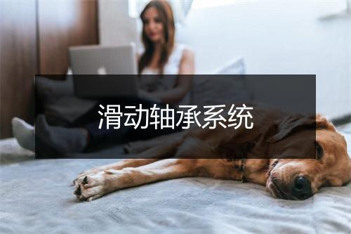 滑动轴承系统