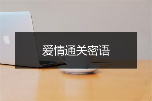 爱情通关密语