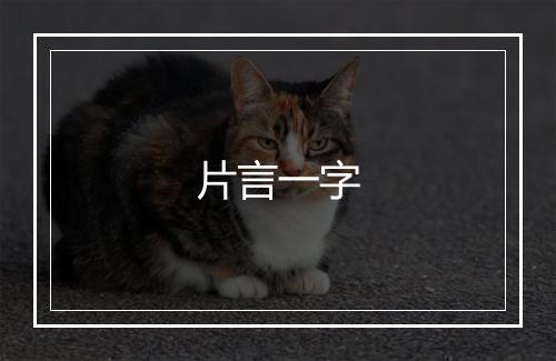 片言一字