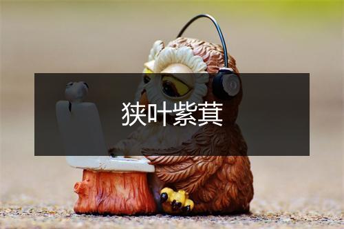 狭叶紫萁