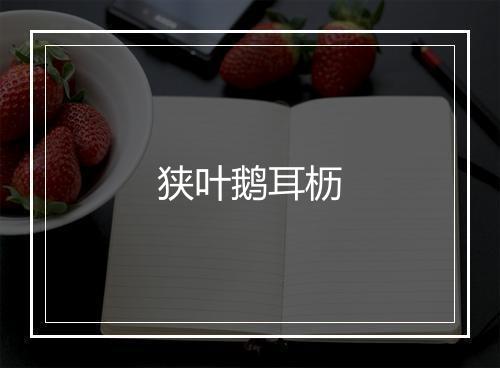 狭叶鹅耳枥