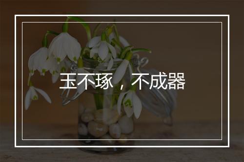 玉不琢，不成器