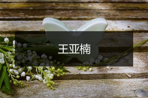 王亚楠