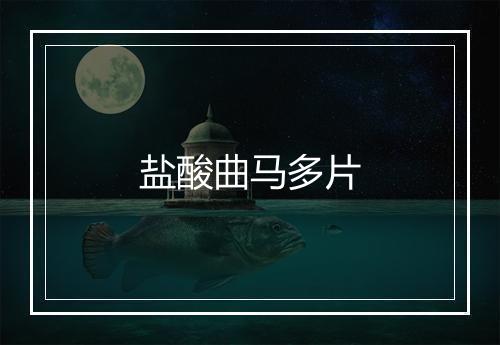 盐酸曲马多片