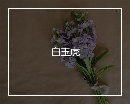 白玉虎