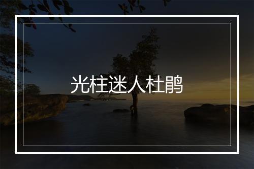 光柱迷人杜鹃