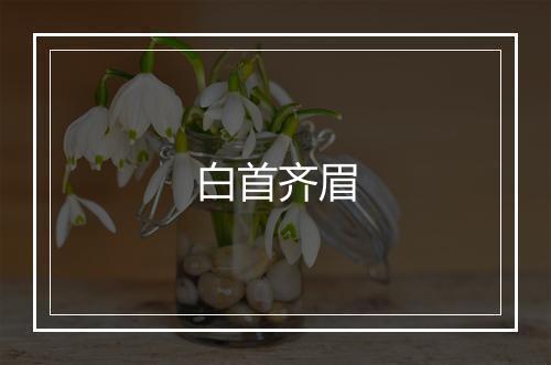 白首齐眉