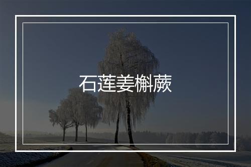 石莲姜槲蕨