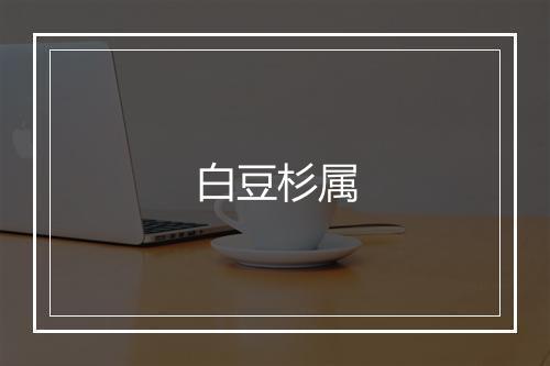 白豆杉属