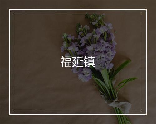 福延镇