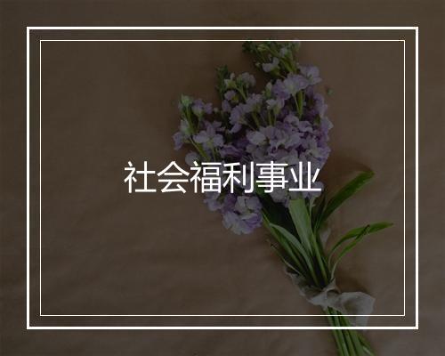 社会福利事业