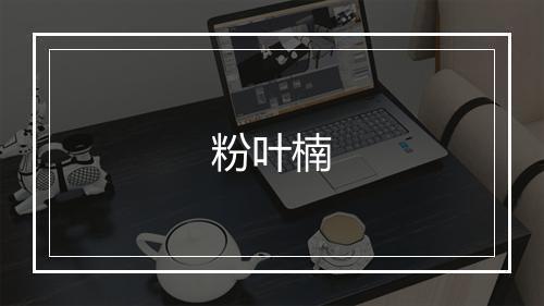 粉叶楠