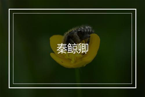 秦鲸卿