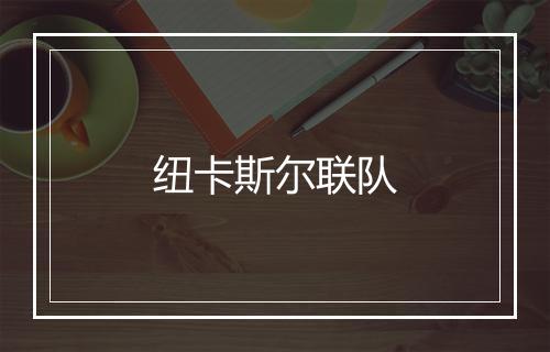 纽卡斯尔联队