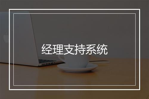 经理支持系统