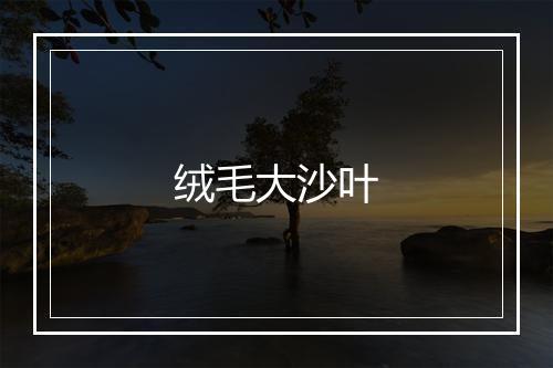 绒毛大沙叶