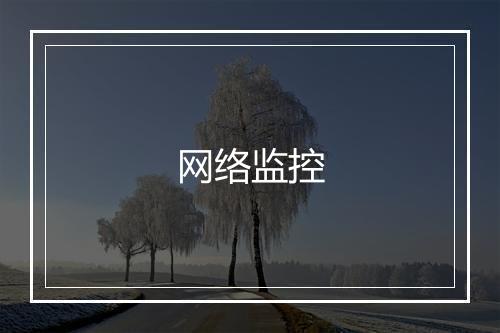 网络监控