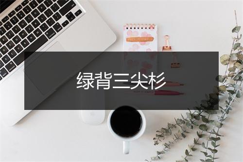 绿背三尖杉