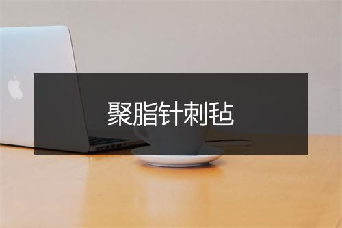 聚脂针刺毡