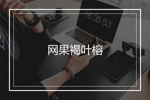 网果褐叶榕