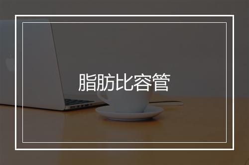 脂肪比容管