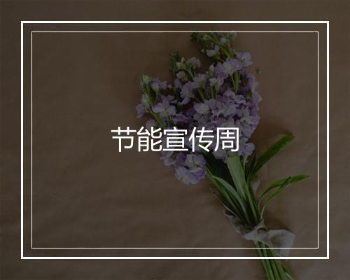 节能宣传周