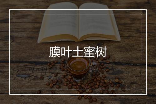 膜叶土蜜树