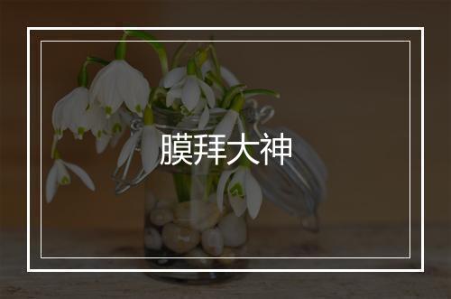 膜拜大神