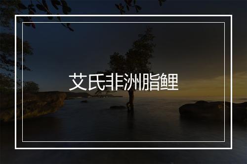 艾氏非洲脂鲤