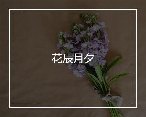 花辰月夕