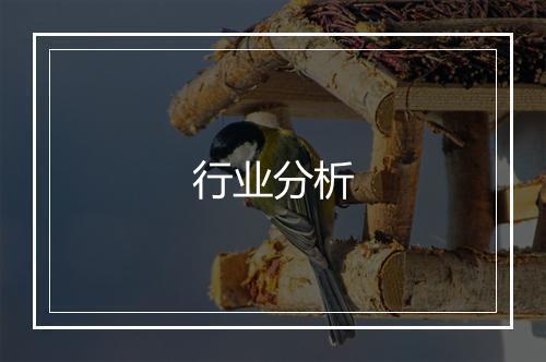 行业分析