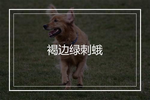 褐边绿刺蛾