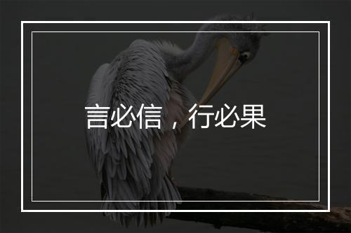 言必信，行必果