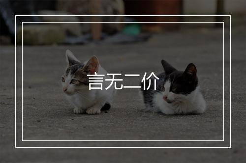 言无二价