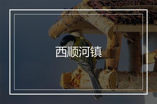 西顺河镇