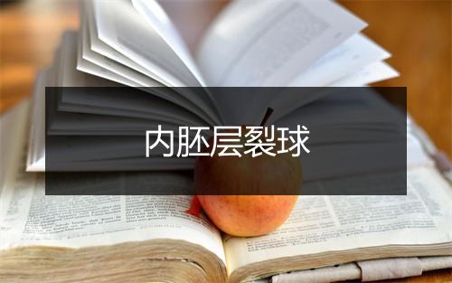 内胚层裂球