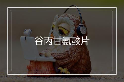 谷丙甘氨酸片