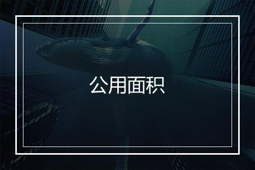 公用面积