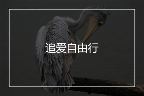 追爱自由行