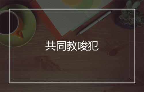 共同教唆犯