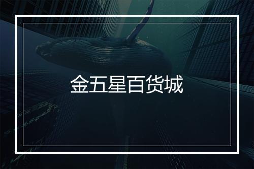 金五星百货城