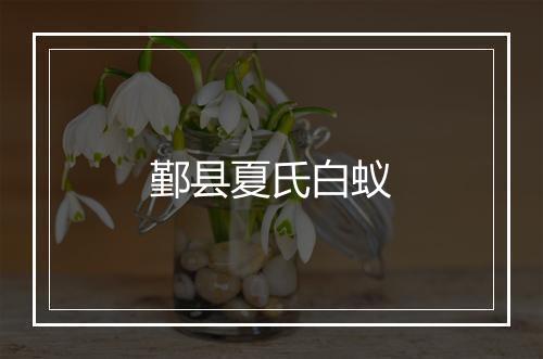 鄞县夏氏白蚁