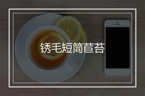 锈毛短筒苣苔