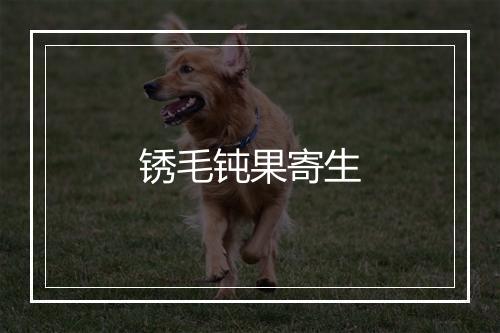 锈毛钝果寄生