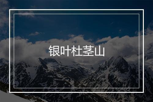 银叶杜茎山