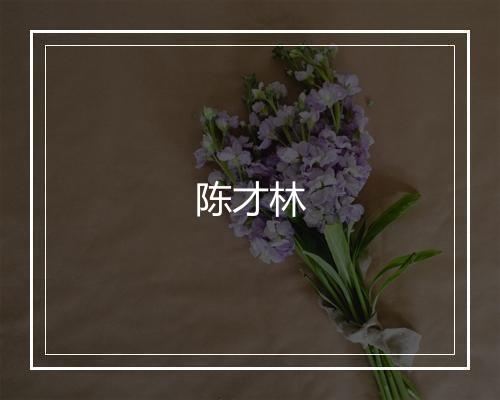 陈才林