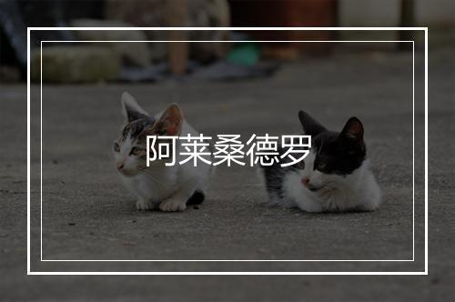 阿莱桑德罗