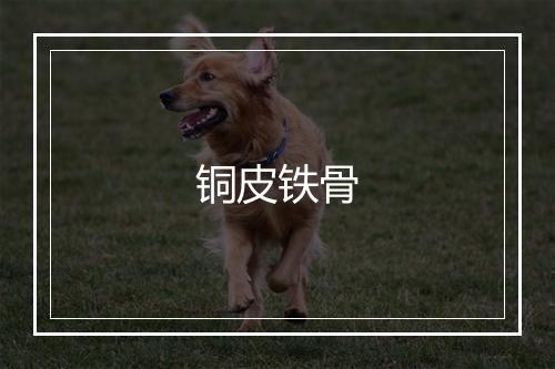 铜皮铁骨