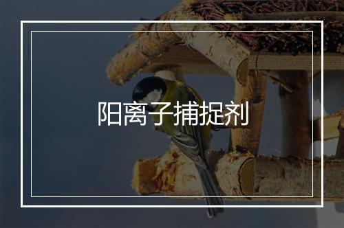 阳离子捕捉剂